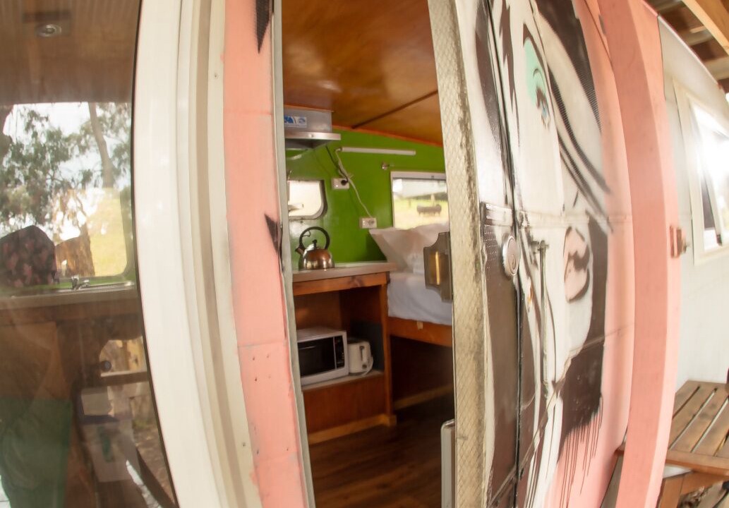 Photo of Outdoor in Cape Otway