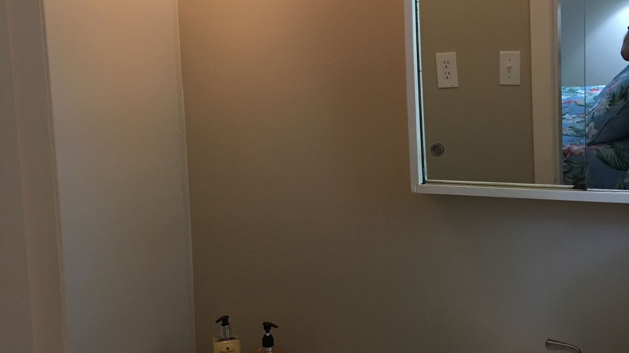 Photo of Others in Windsor Forest