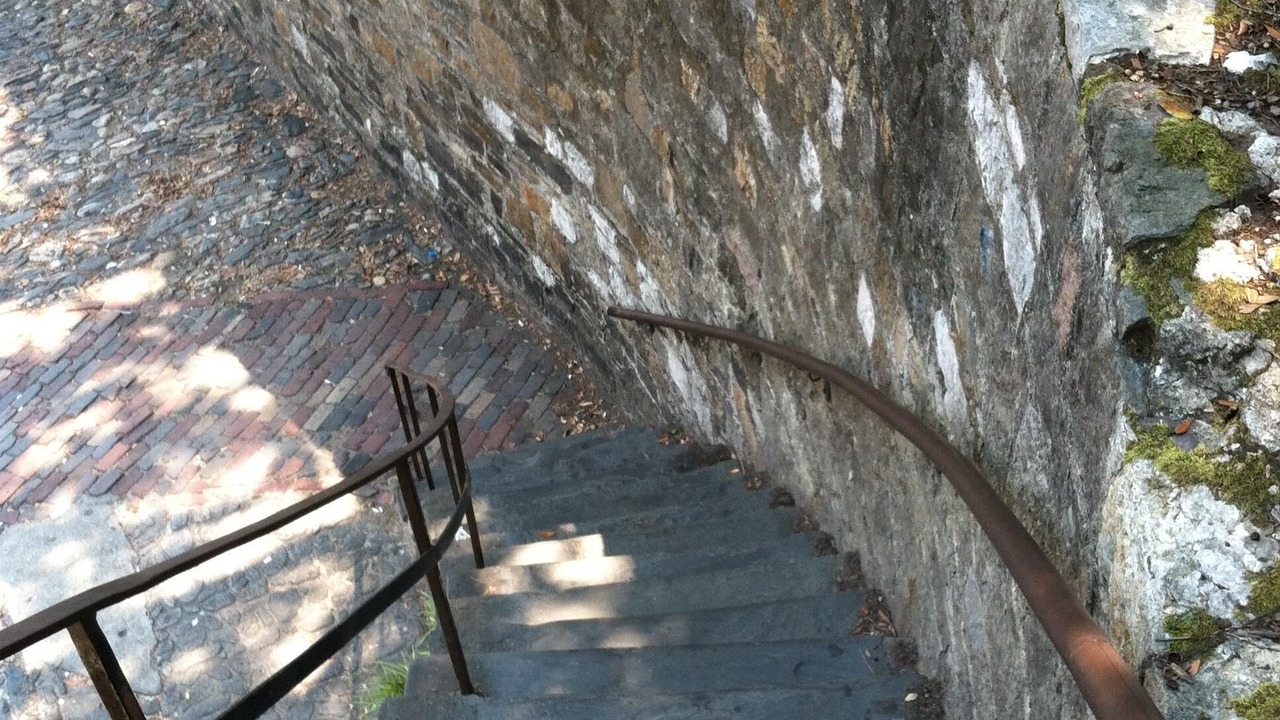 Photo of Outdoor in Windsor Forest