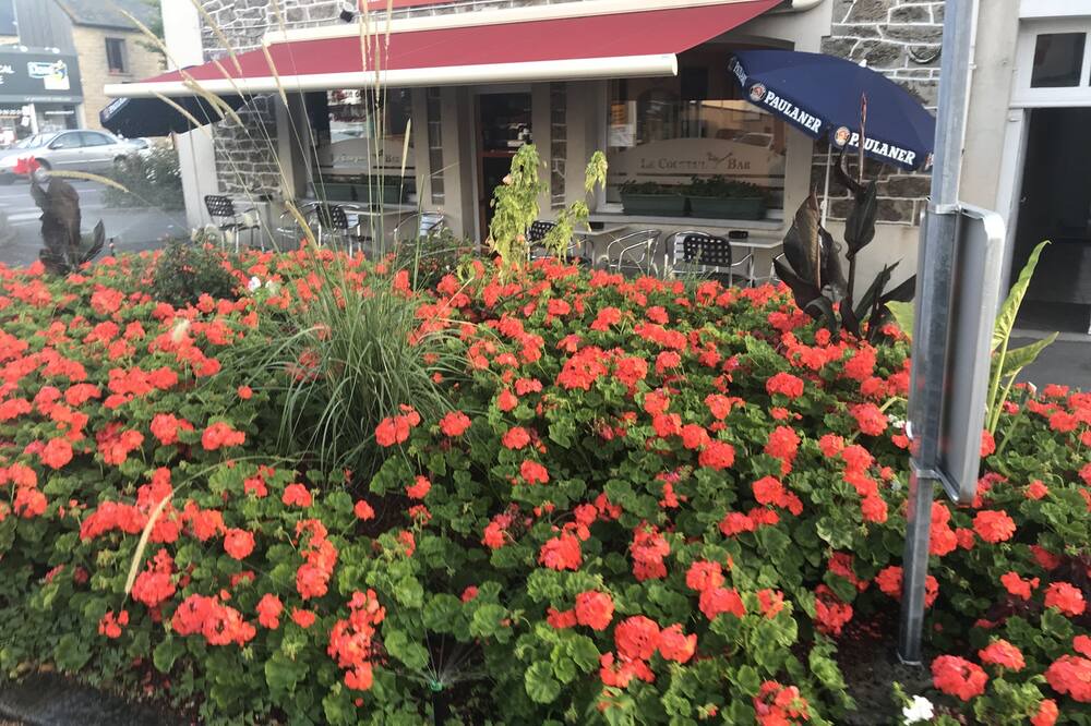 Photo of Outdoor in La Marne