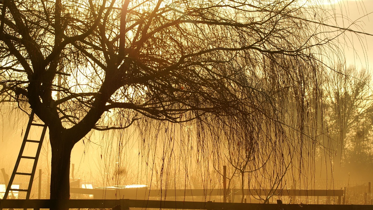Photo of Outdoor in Vaire