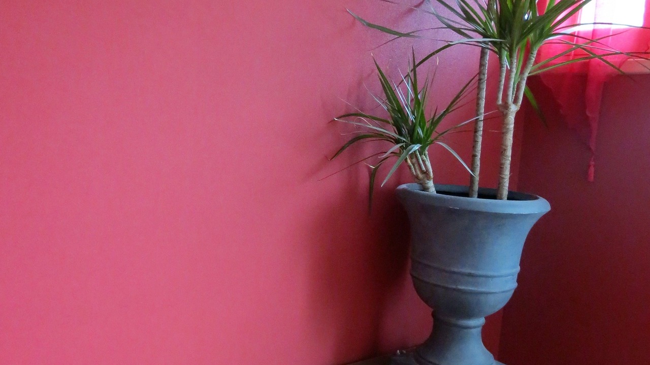 Photo of Others in Saint-Avertin