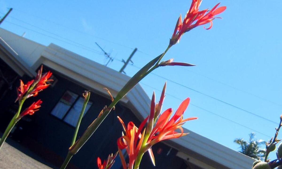 Photo of Outdoor in Childers