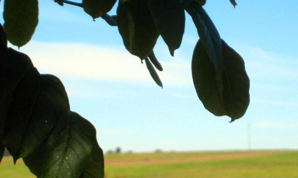 Photo of Outdoor in Childers