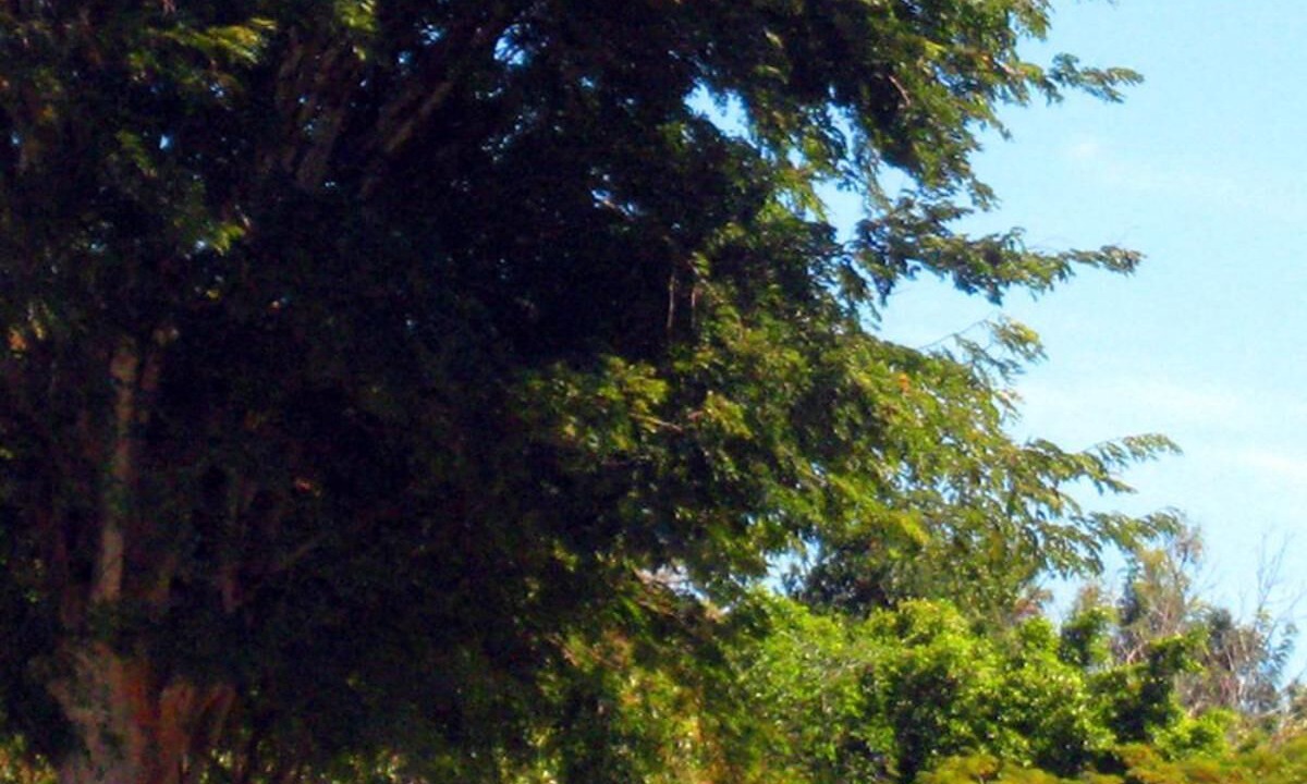 Photo of Outdoor in Childers