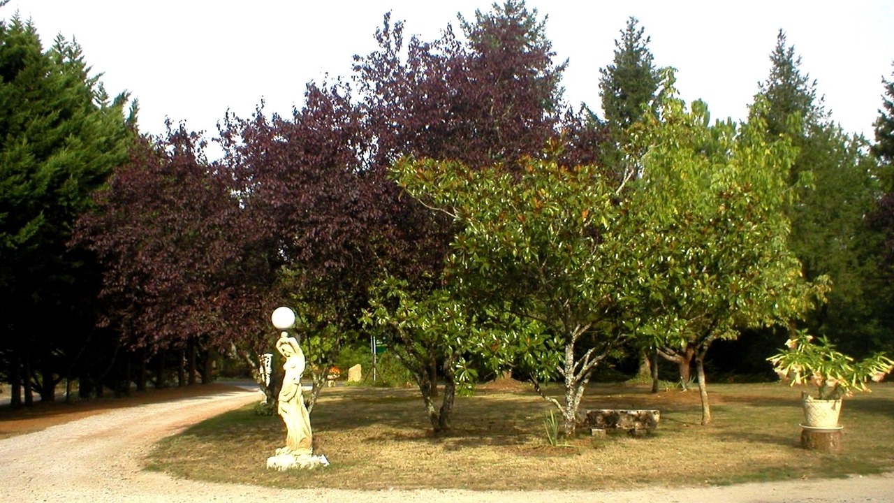 Photo of Outdoor in Cublac