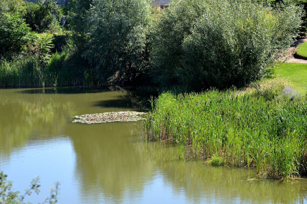 Photo of Outdoor in Estivareilles