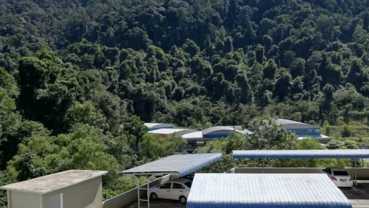 Photo of Others in Batu Ferringhi