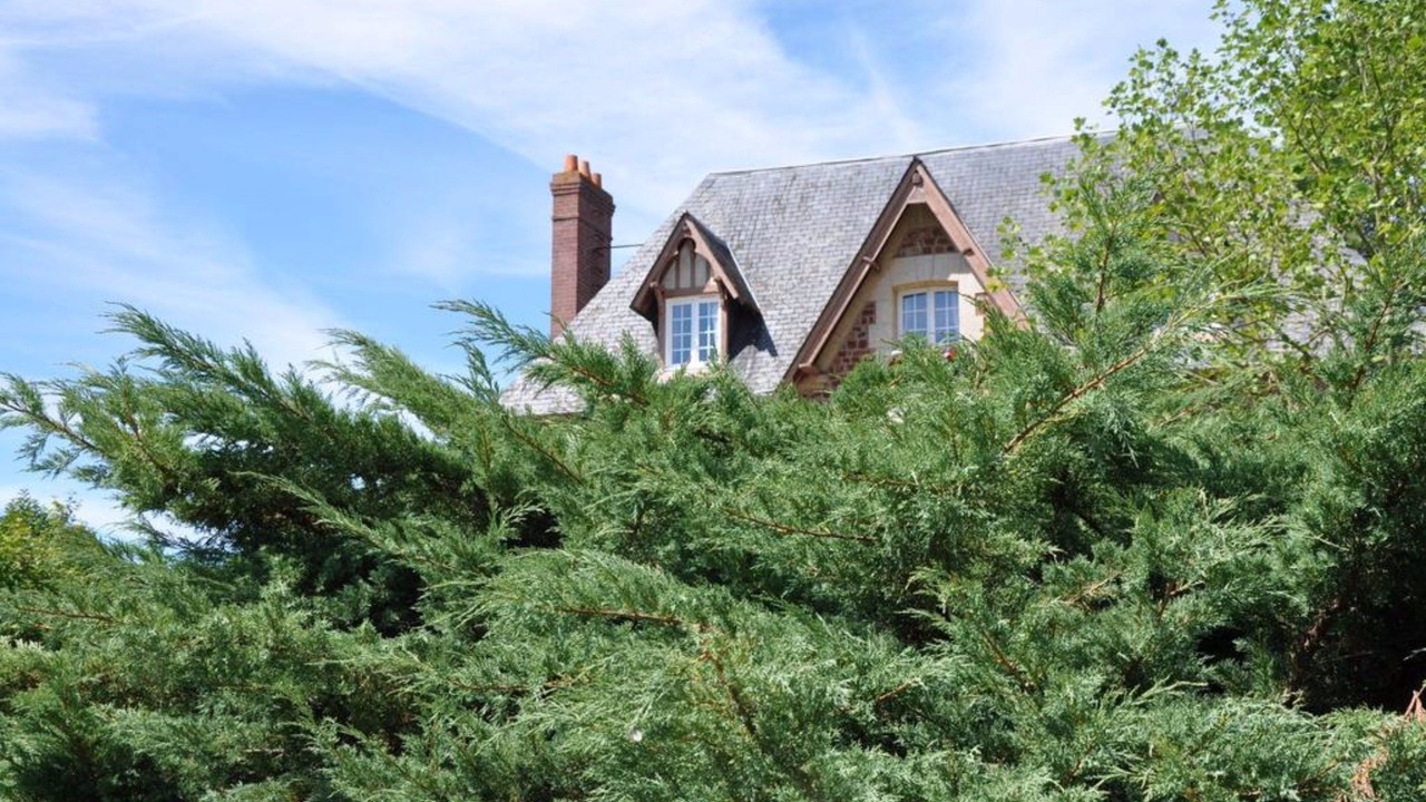 Photo of Outdoor in Tourgeville