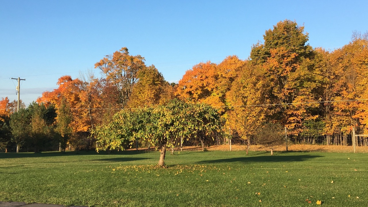 Photo of Outdoor in Hamilton
