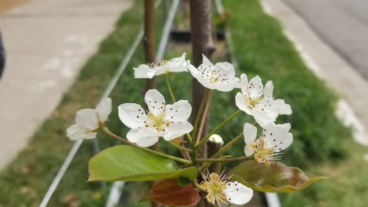 Photo of Outdoor in Playas de Tijuana