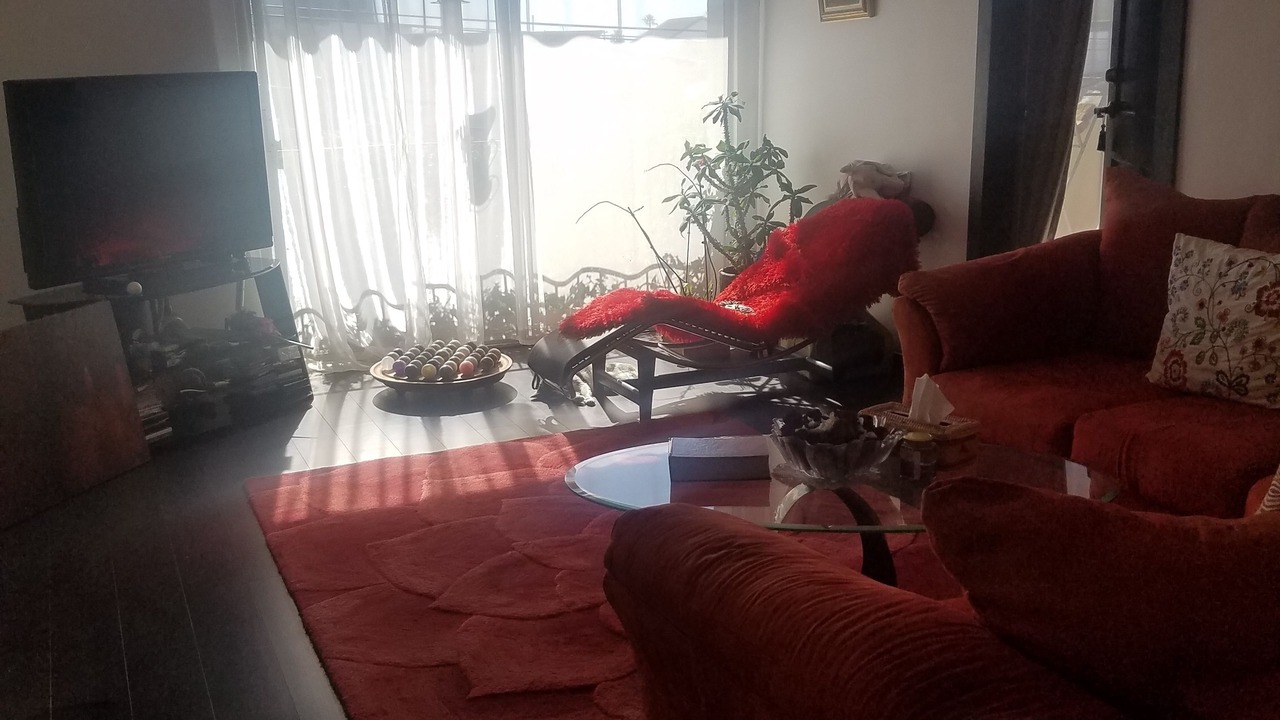 Photo of Others in Playas de Tijuana