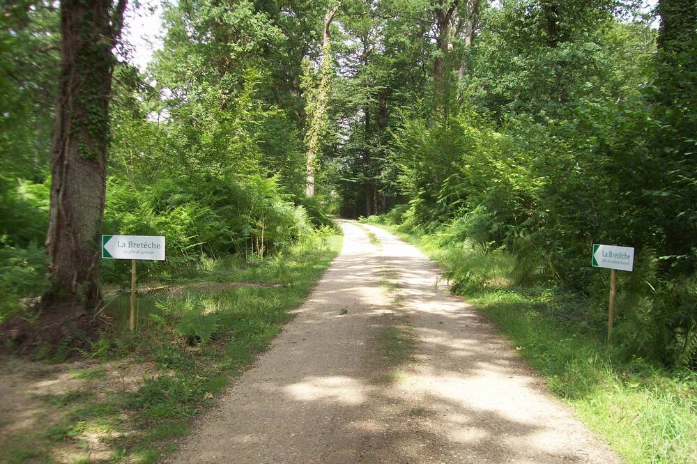 Photo of Outdoor in Ligny-le-Ribault