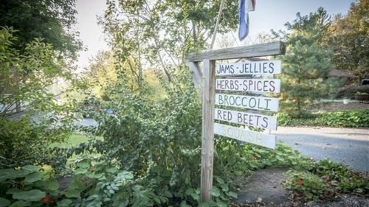 Photo of Outdoor in Reinholds