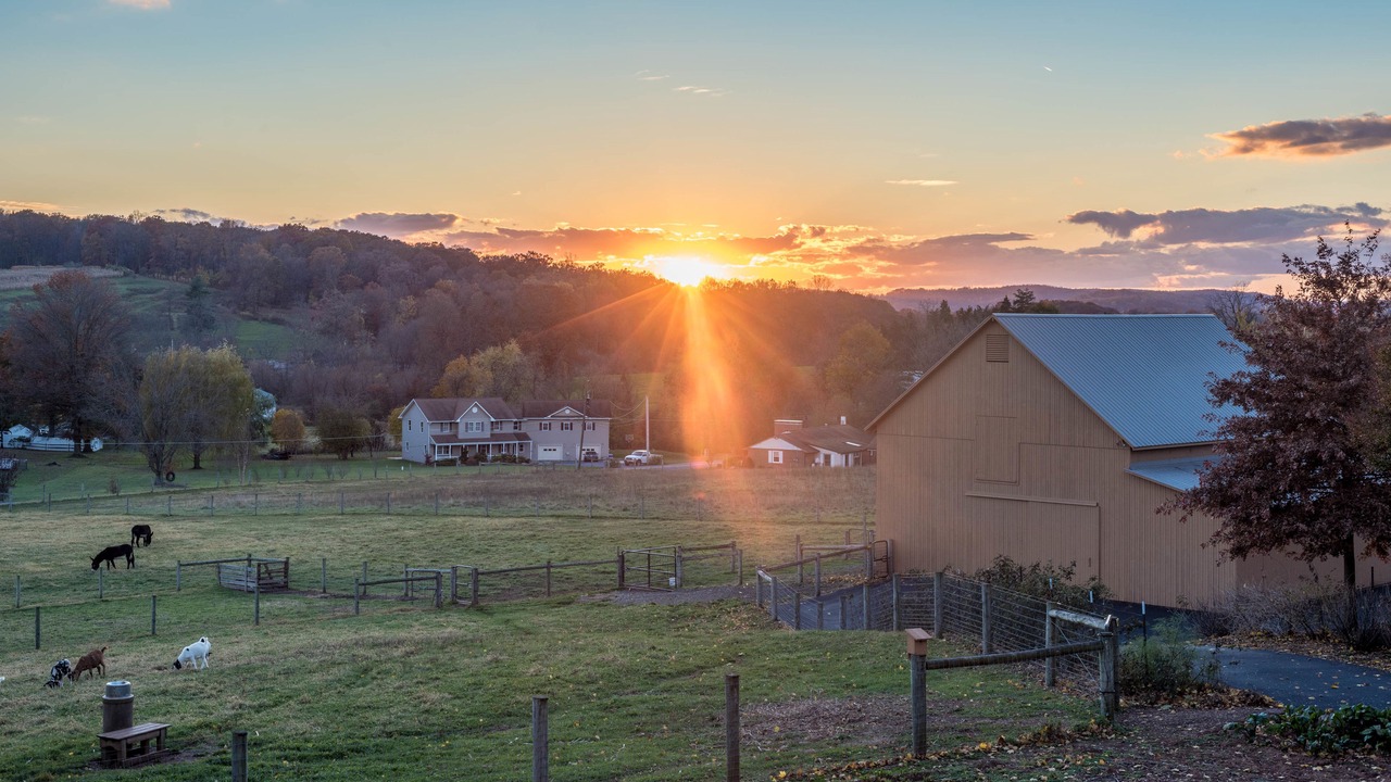 Photo of Outdoor in Reinholds