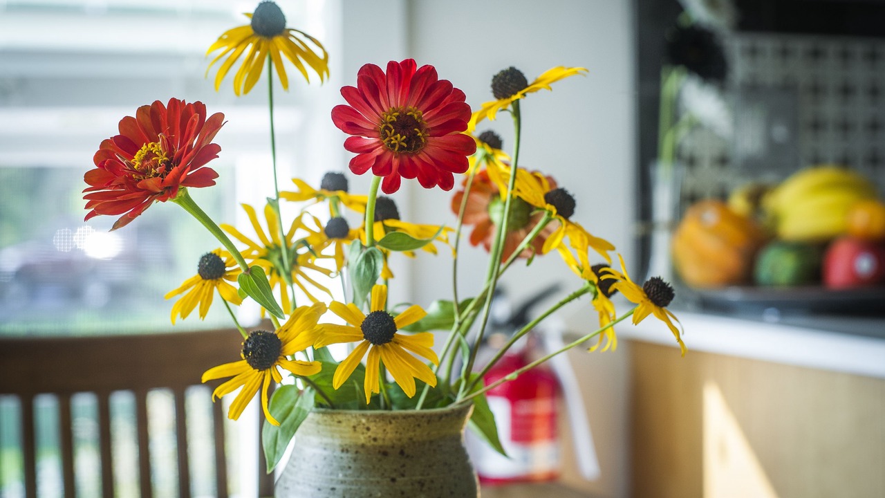 Photo of Others in Reinholds