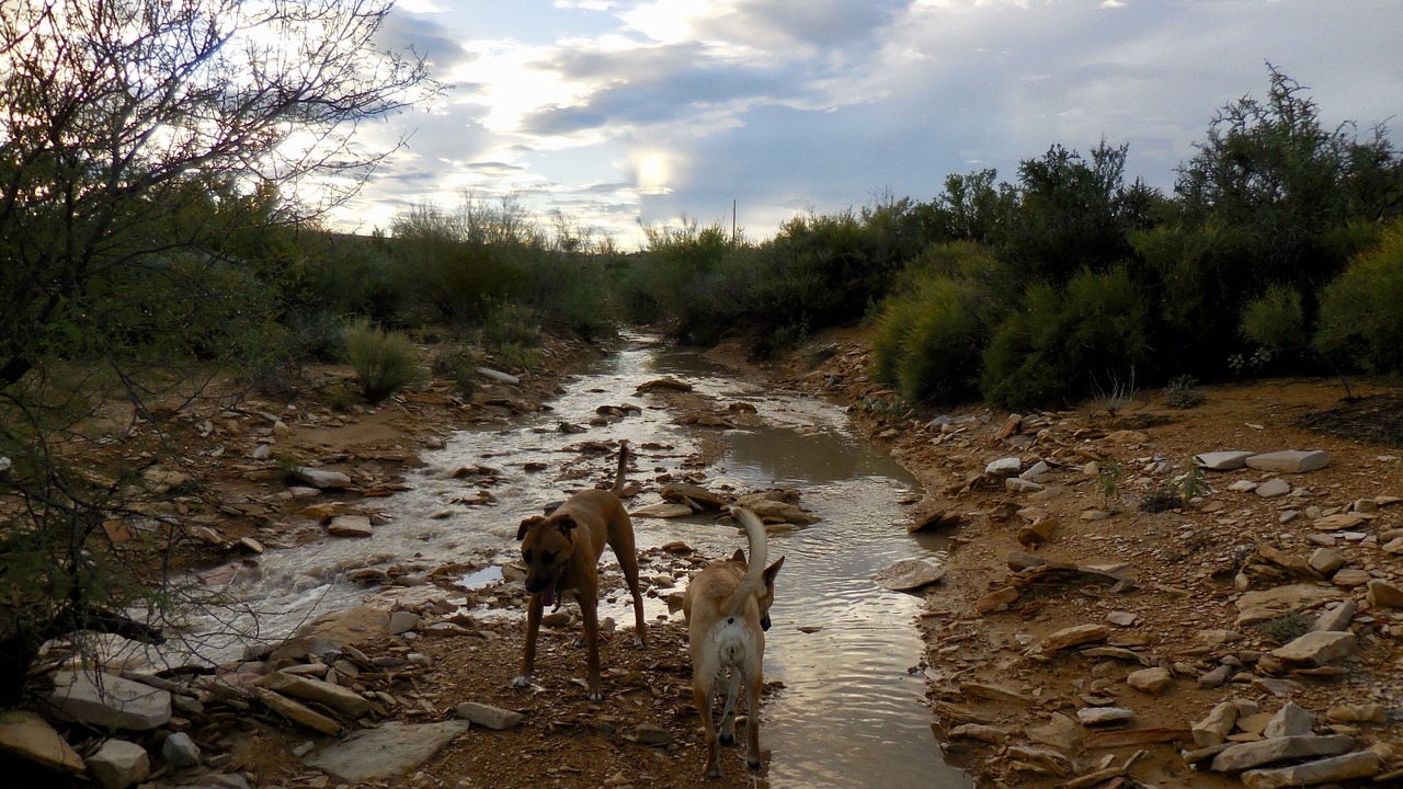 Photo of Outdoor in Study Butte-Terlingua