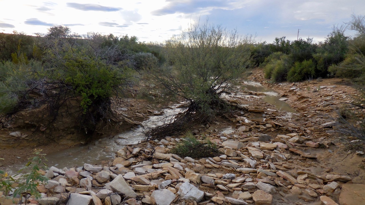 Photo of Outdoor in Study Butte-Terlingua