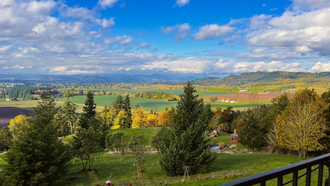 Photo of Outdoor in Amity