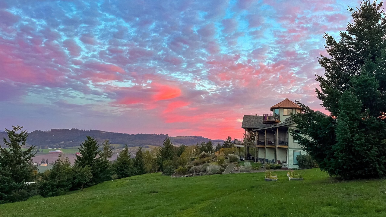 Photo of Others in Amity