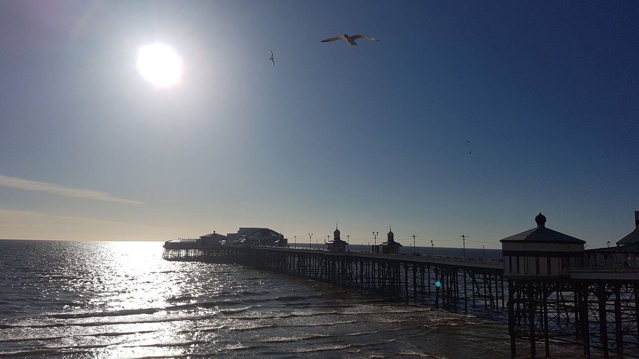 Photo of Others in North Shore