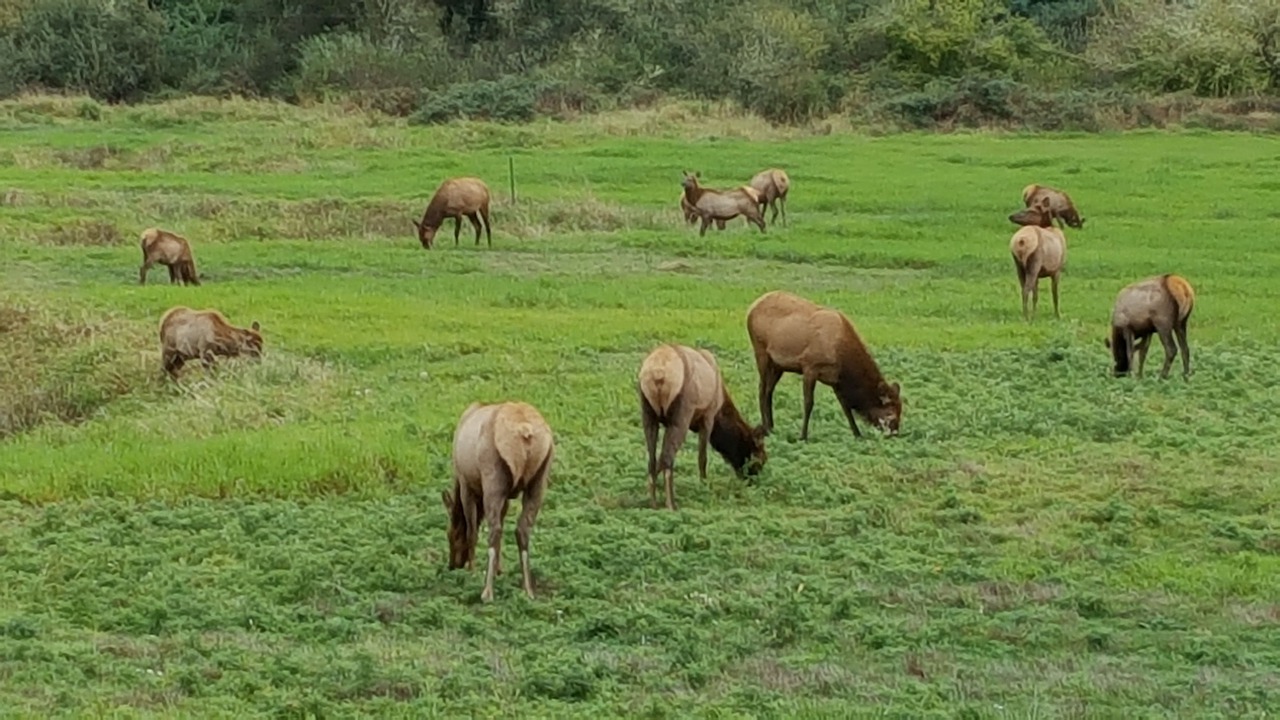 Photo of Outdoor in Winchester Bay