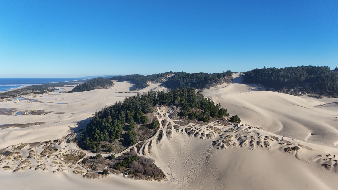 Photo of Others in Winchester Bay