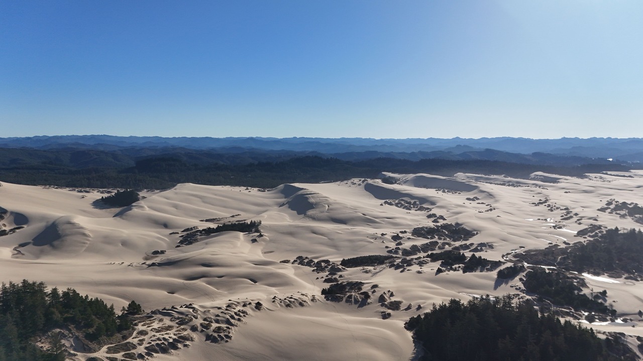 Photo of Others in Winchester Bay
