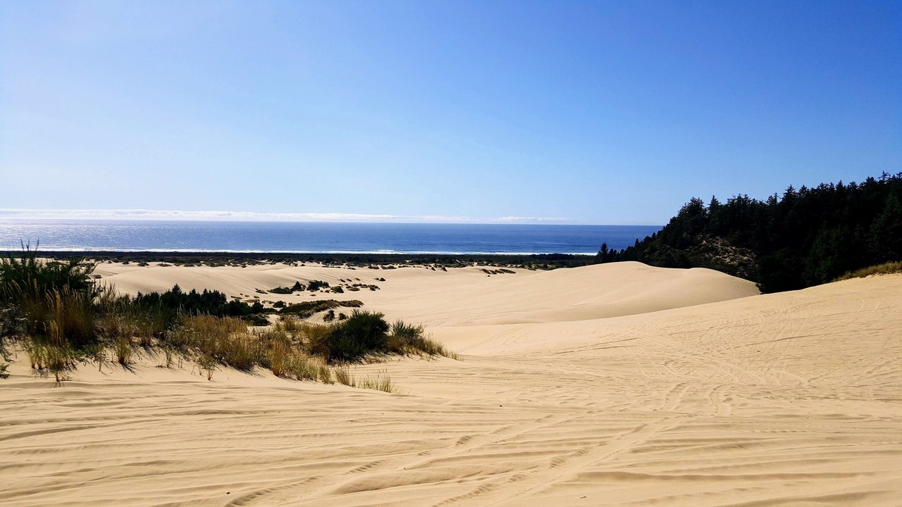 Photo of Others in Winchester Bay