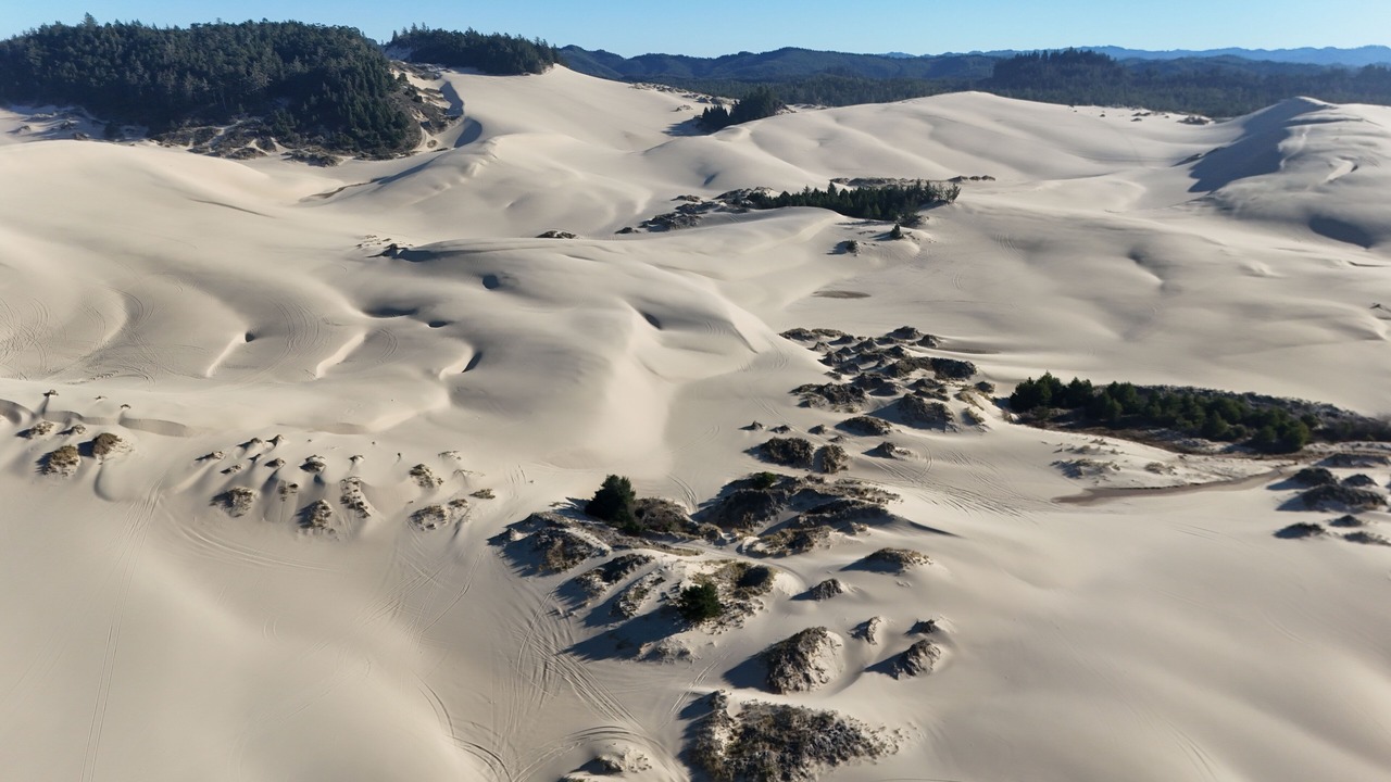 Photo of Others in Winchester Bay