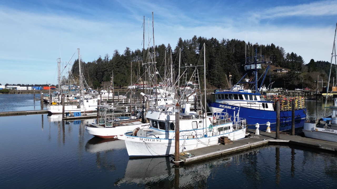 Photo of Others in Winchester Bay