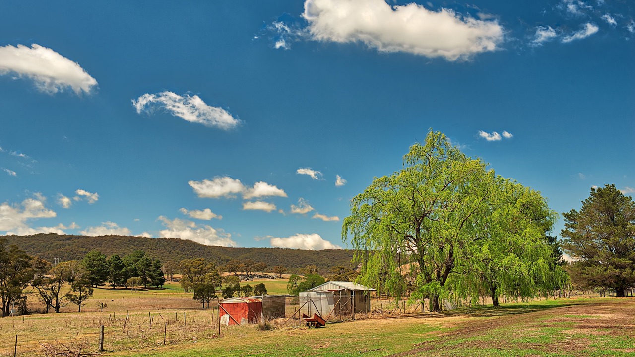 Photo of Outdoor in Marrangaroo