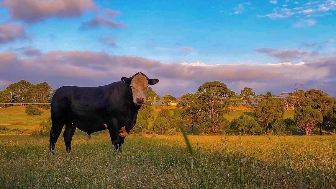 Photo of Others in Marrangaroo