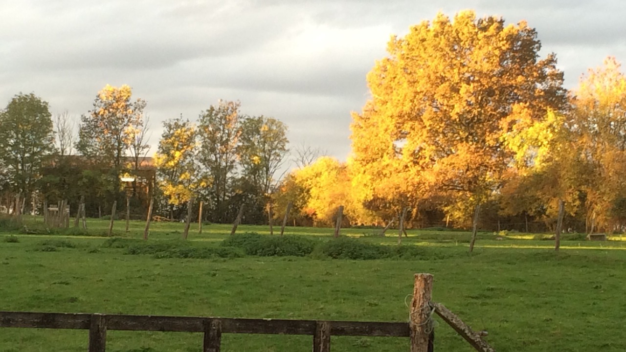 Photo of Outdoor in Loire - Vignobles et Nohain
