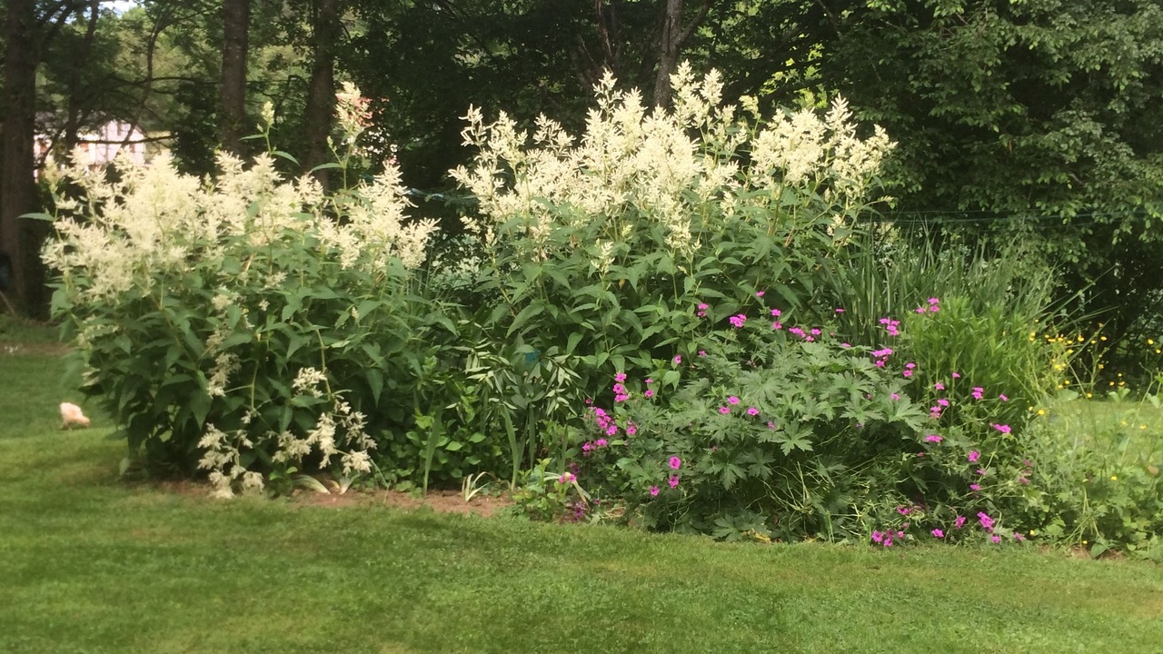 Photo of Outdoor in Loire - Vignobles et Nohain