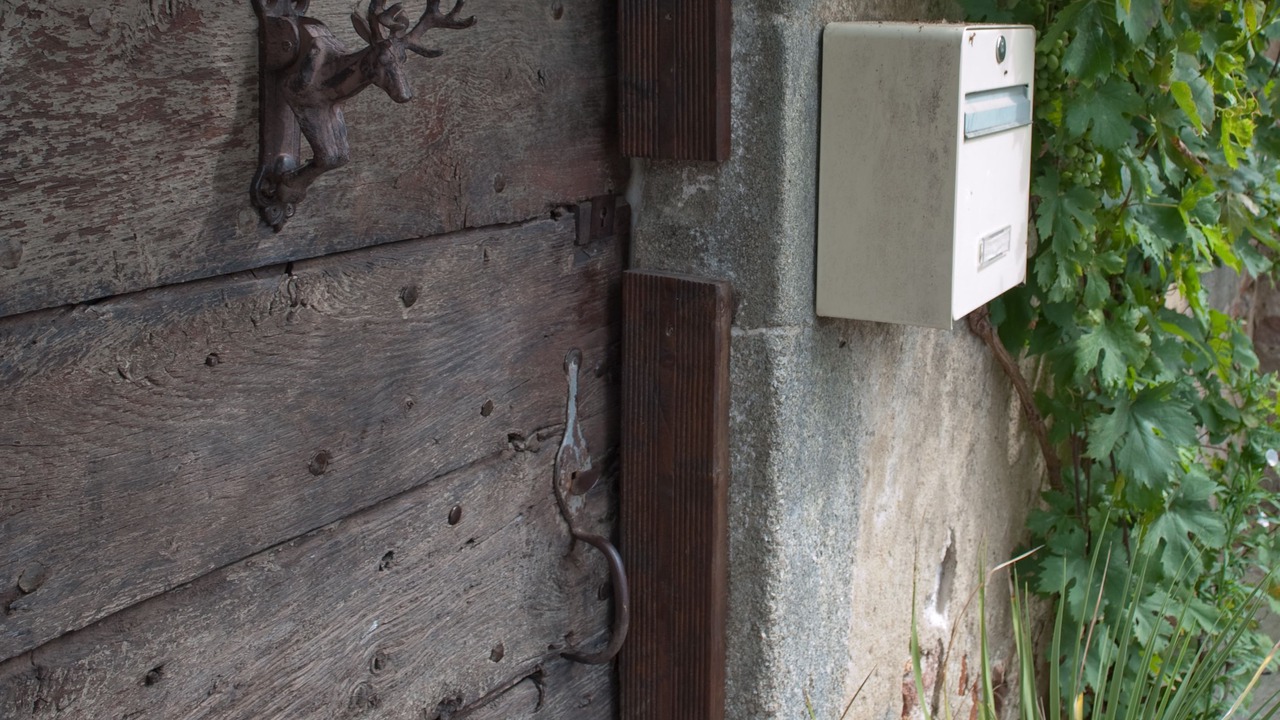 Photo of Outdoor in Voulons