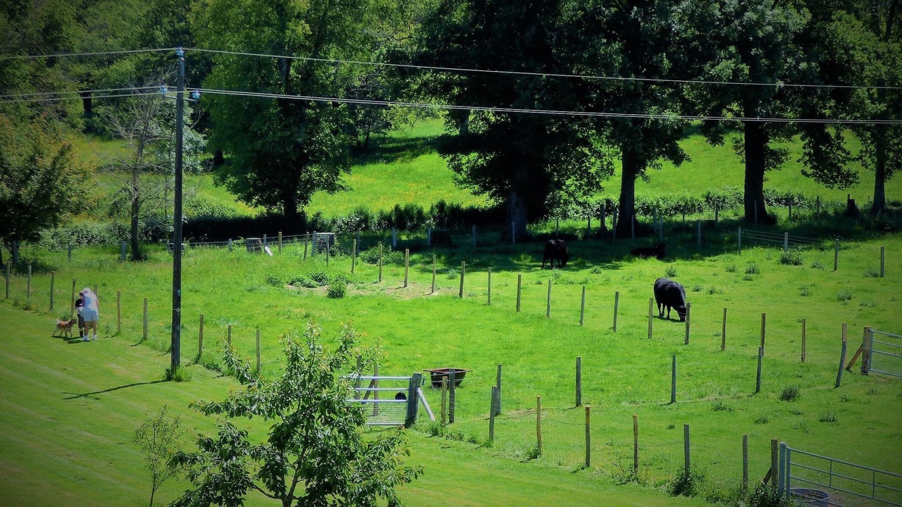 Photo of Outdoor in Voulons