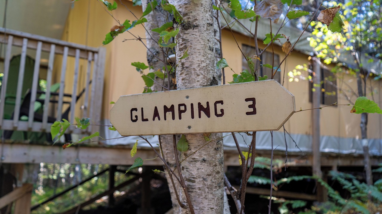 Photo of Others in Saint Patrick