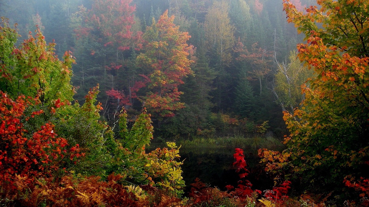 Photo of Outdoor in Saint Patrick