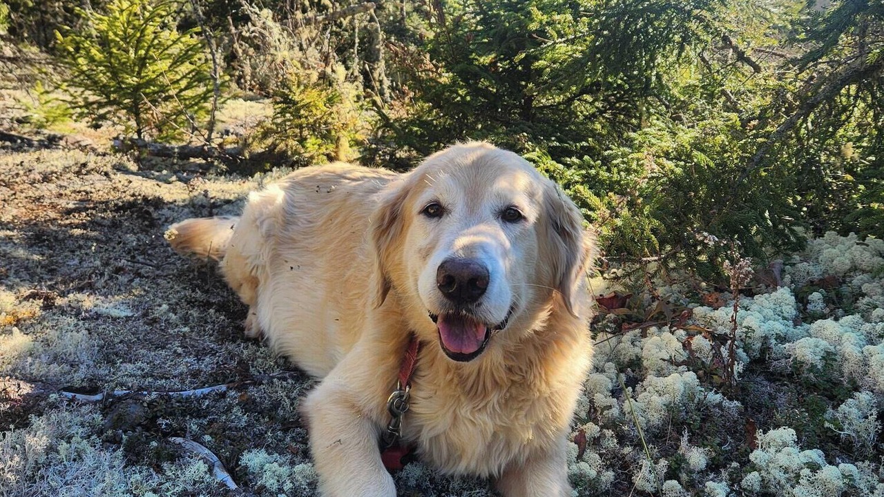 Photo of Outdoor in Saint Patrick