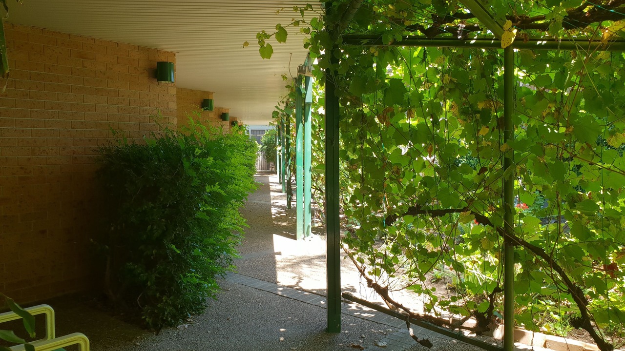 Photo of Outdoor in Muswellbrook