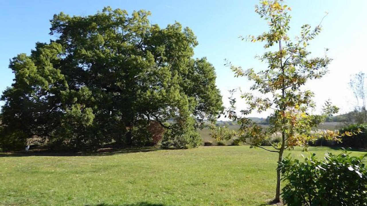 Photo of Outdoor in Lussan