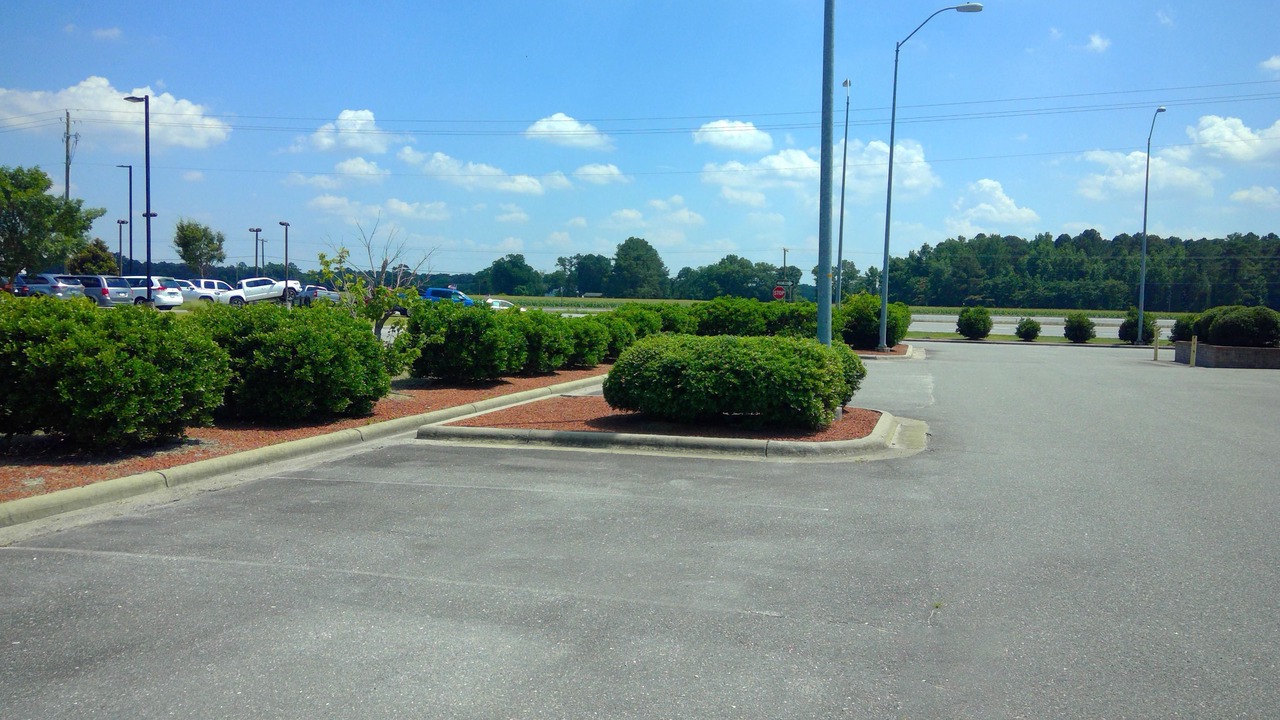 Photo of Others in Kinston