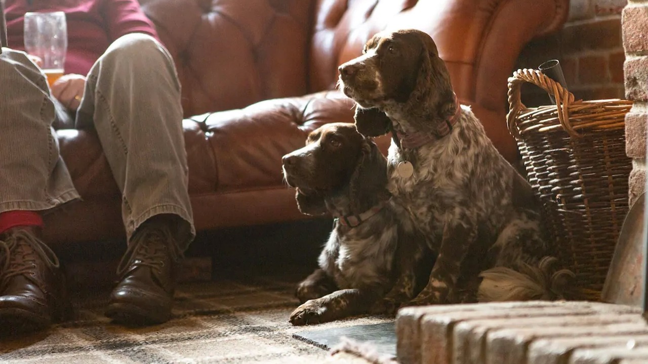 Photo of Others in Strathcarron