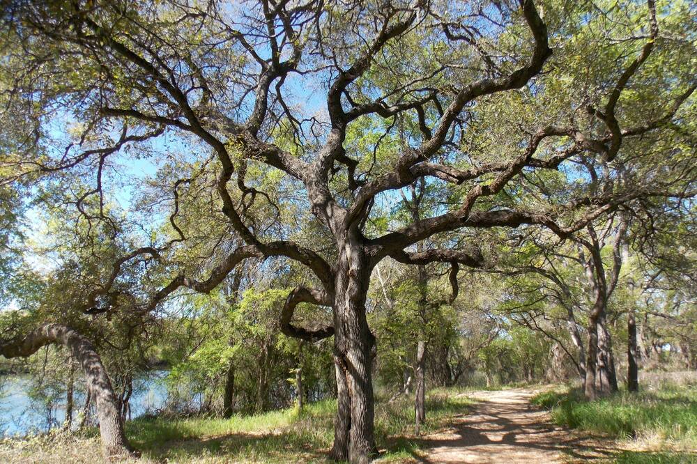 Photo of Outdoor in Brushy Creek