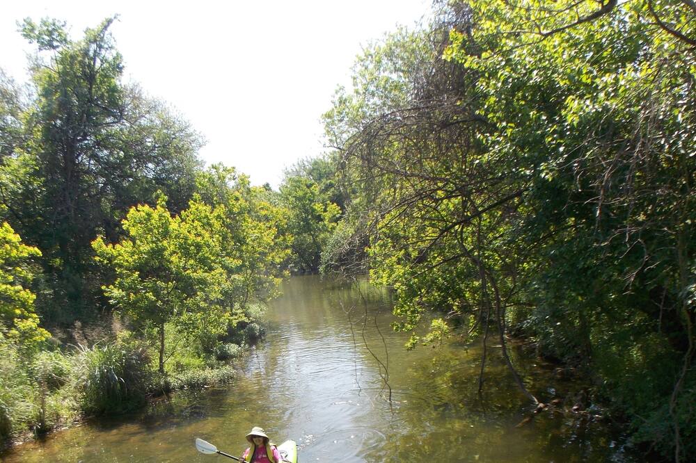 Photo of Others in Brushy Creek