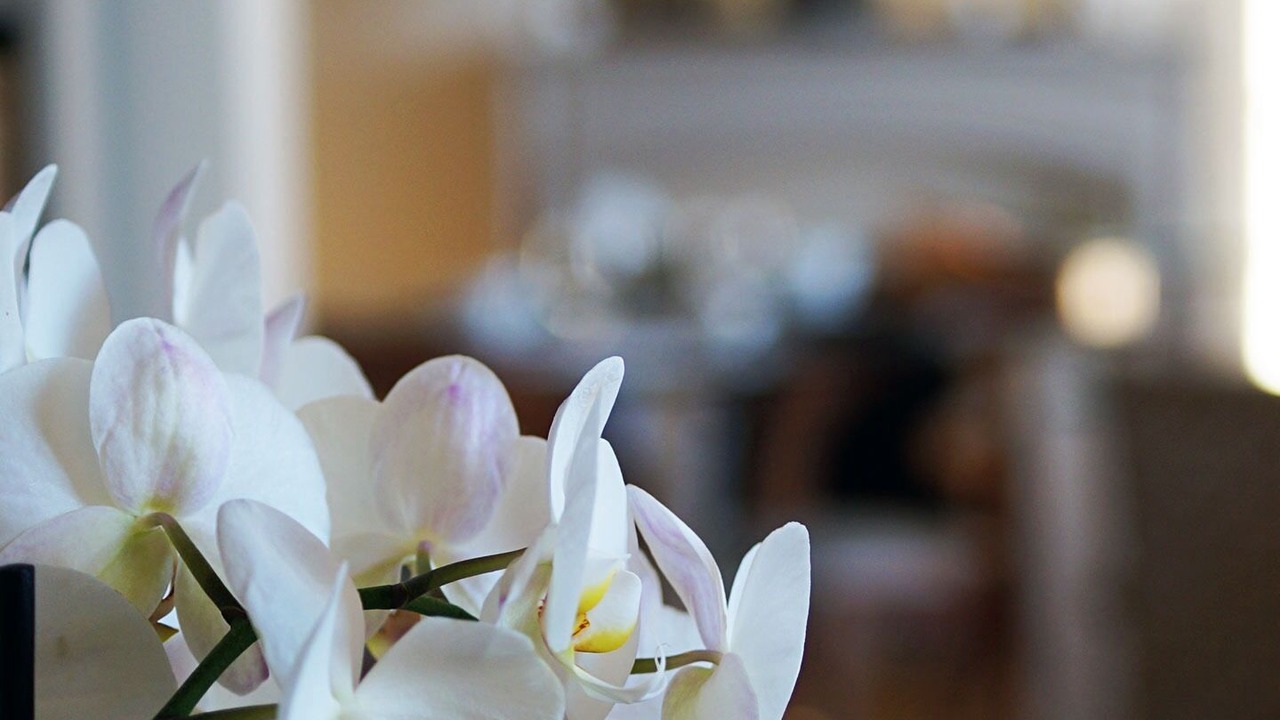 Photo of Others in Beauvais