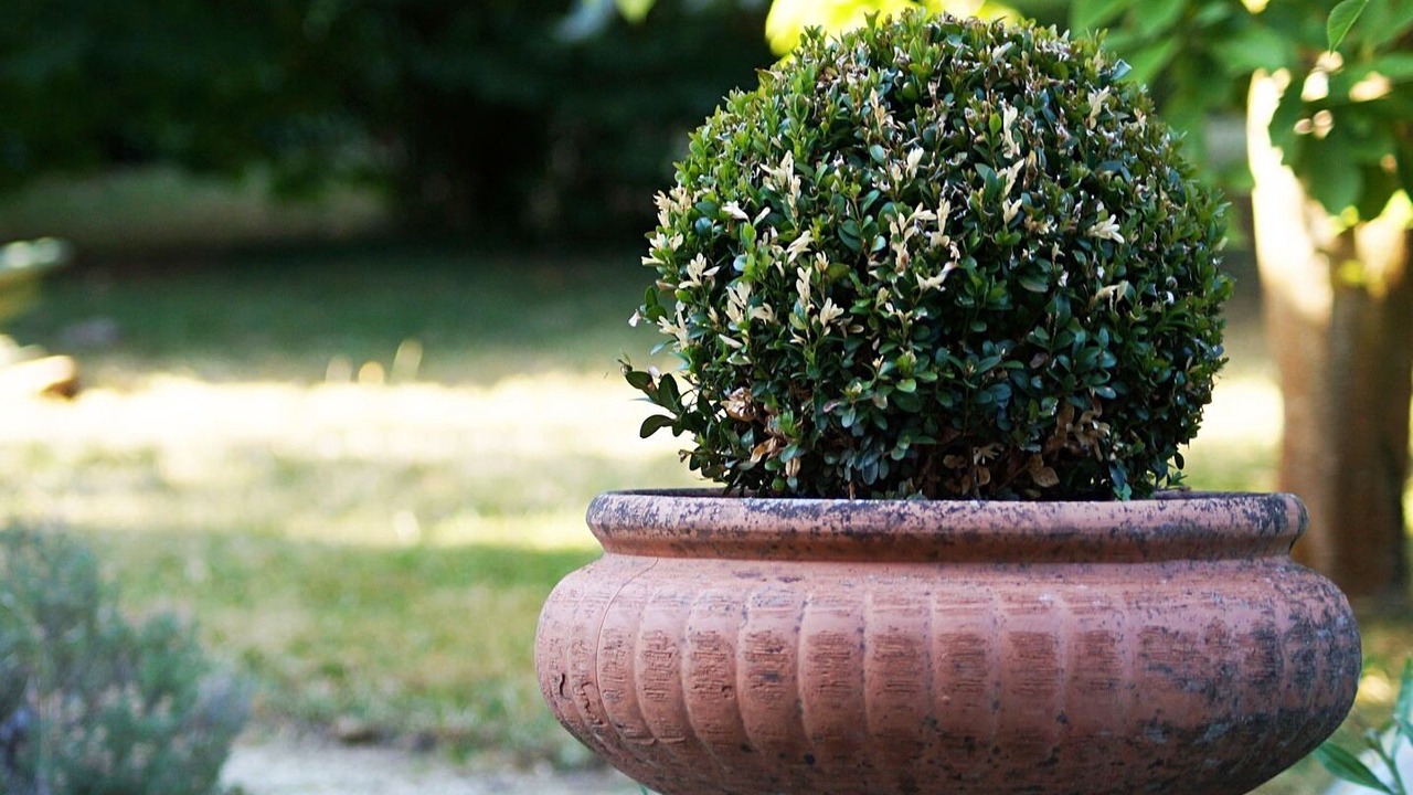 Photo of Outdoor in Beauvais