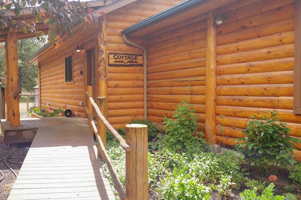 Photo of Others in Deschutes River Woods