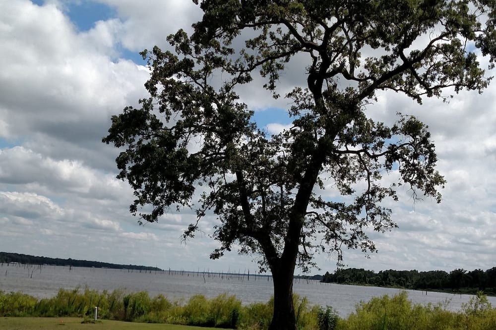 Photo of Outdoor in Yantis